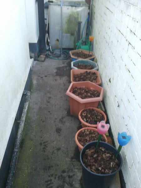 2012-11-14 15.00.01.jpg