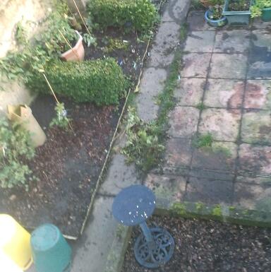 2012-11-18 09.03.43-1.jpg