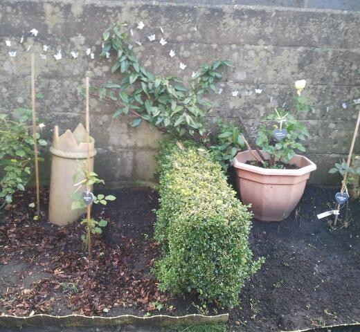 2012-11-21 15.09.40-1.jpg