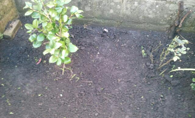 2012-11-21 15.09.52-1.jpg