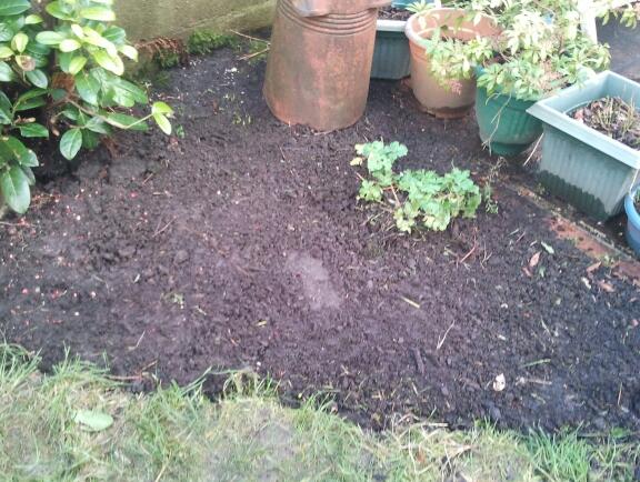 2012-11-21 15.09.59-1.jpg