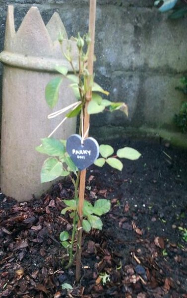 2012-11-21 15.11.06-1.jpg