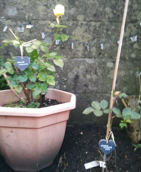 2012-11-21 15.11.15-1.jpg