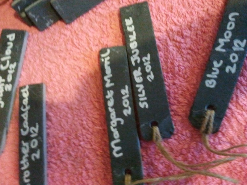 2012-11-22 13.14.40.jpg