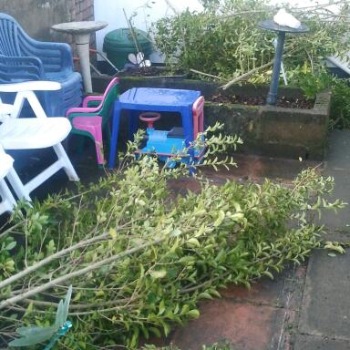 2012-11-26 12.10.51-1.jpg