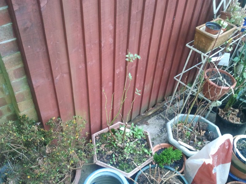 2012-12-13 12.46.15.jpg