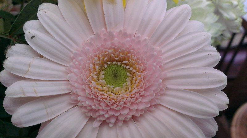 2013-02-10 09.22.59.jpg