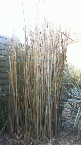 2013-03-06 13-03-19.477.jpg