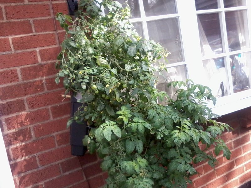 2013-08-09 09.52.53.jpg