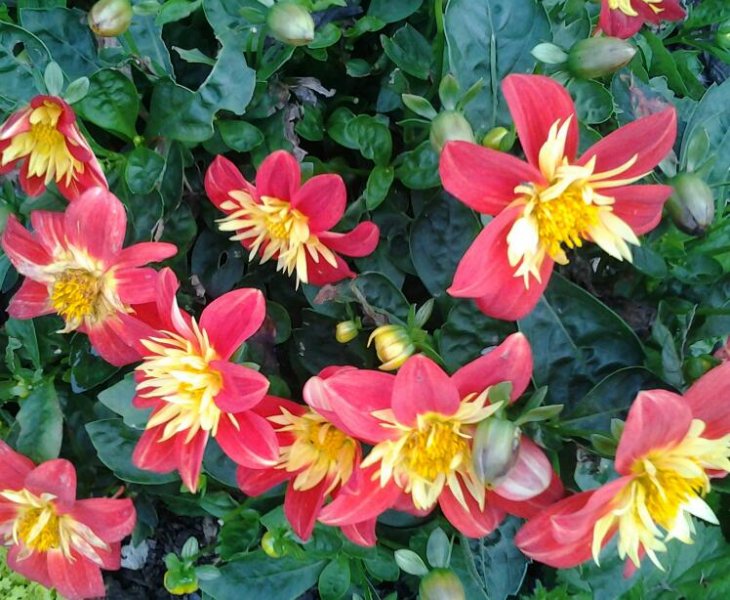 2013-09-08 17.49.22-1.jpg