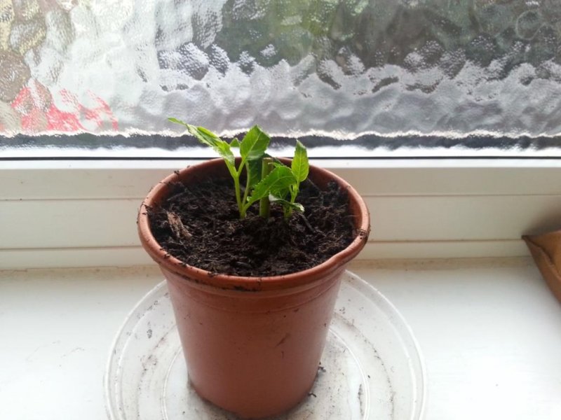 2013-10-03 18.12.10.jpg