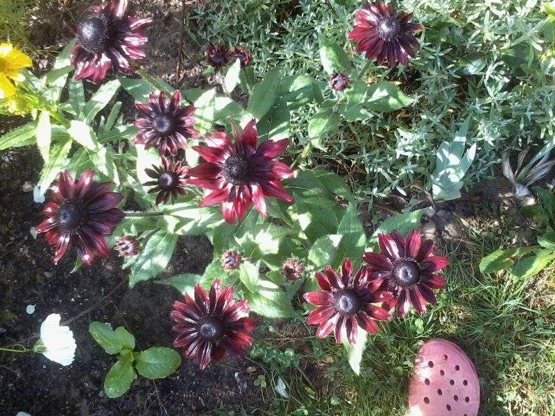 2013-10-04 11.48.06.jpg