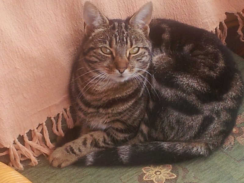 20130909_124628 (2).jpg