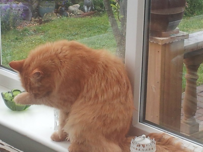 20130909_124758 (2).jpg