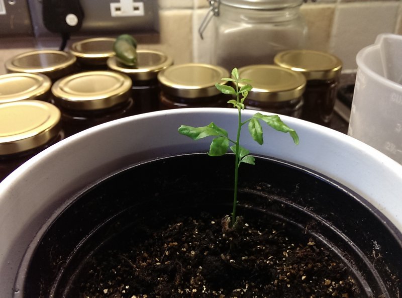 2014-02-06 11.09.31.jpg