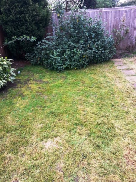 2014-04-04 16.46.36.jpg