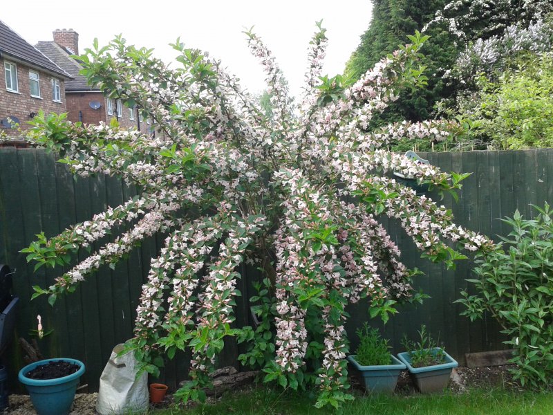 2014-05-15 15.45.07.jpg