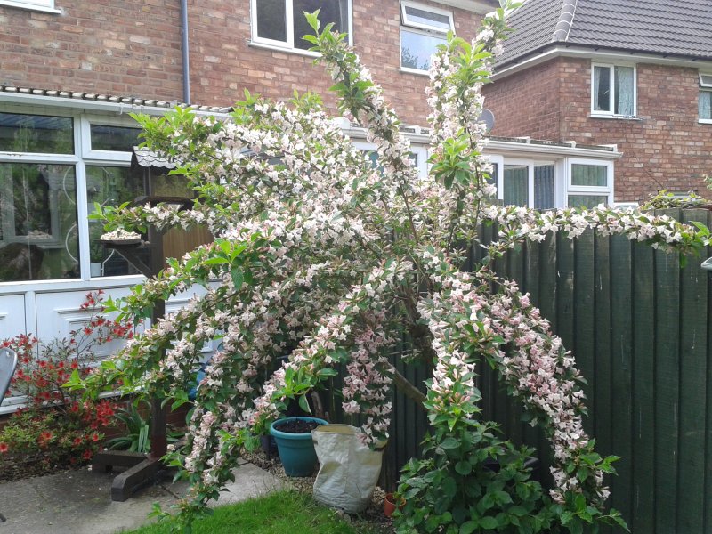 2014-05-15 15.45.52.jpg