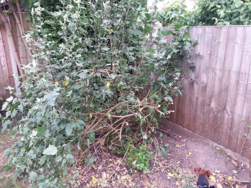 2014-05-21 18.58.39.jpg