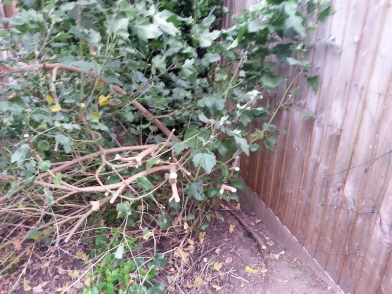 2014-05-21 18.58.47.jpg