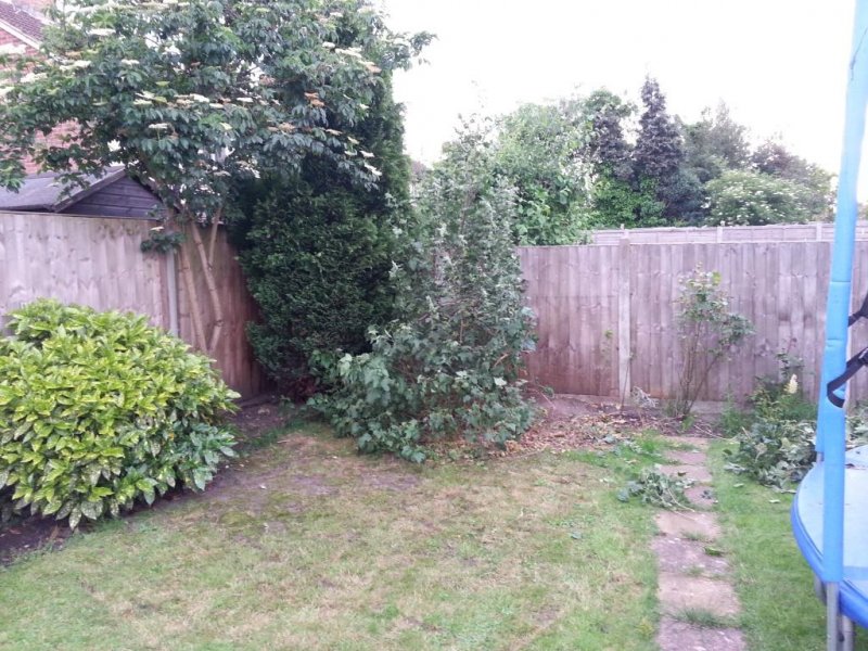 2014-05-21 18.59.51.jpg