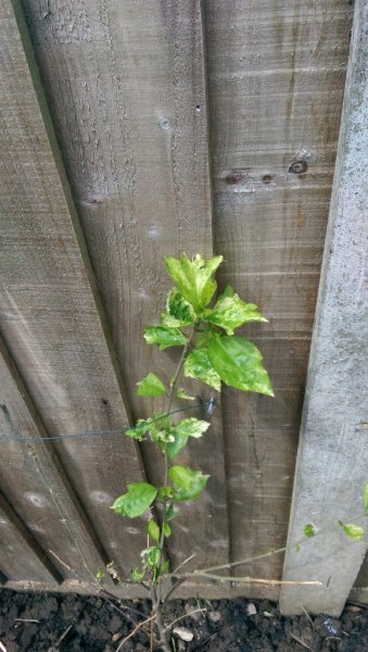 2014-05-29 12.13.07.jpg