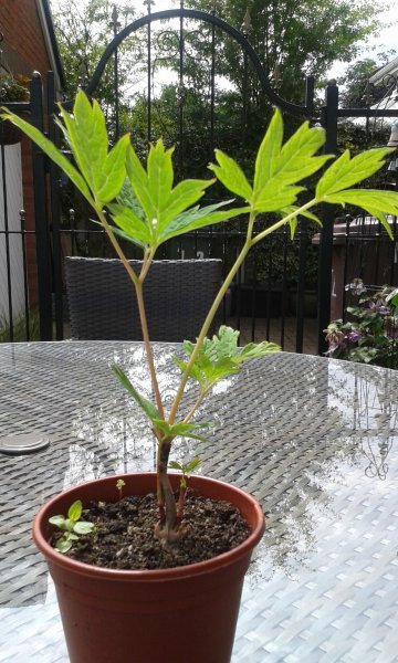 2014-06-13 14.31.55.jpg