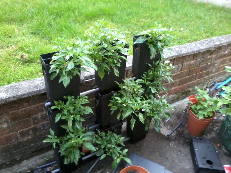 2014-06-23 06.16.10.jpg