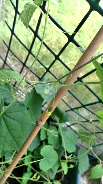 2014-06-30 17.13.28 (Small).jpg