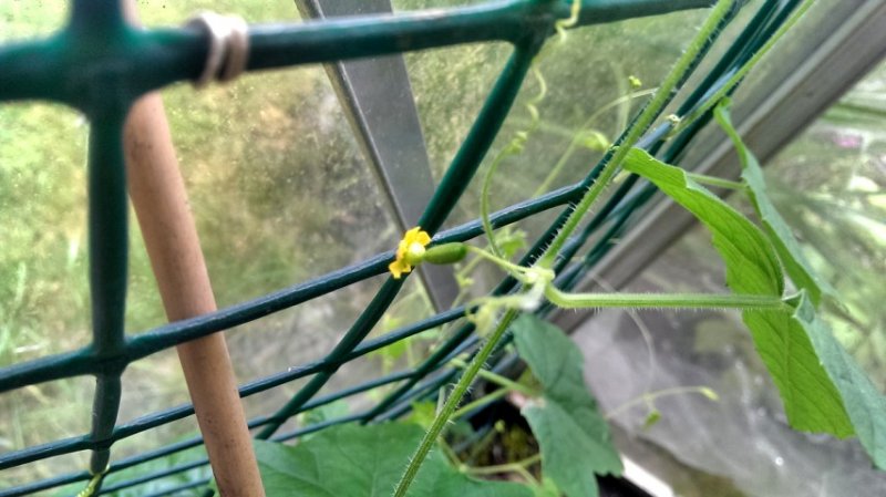 2014-06-30 17.13.35 (Small).jpg