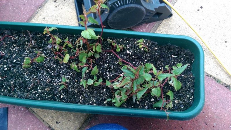 2014-07-06 12.21.52.jpg