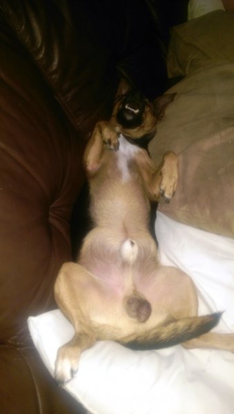 2014-09-03 23.51.13.jpg