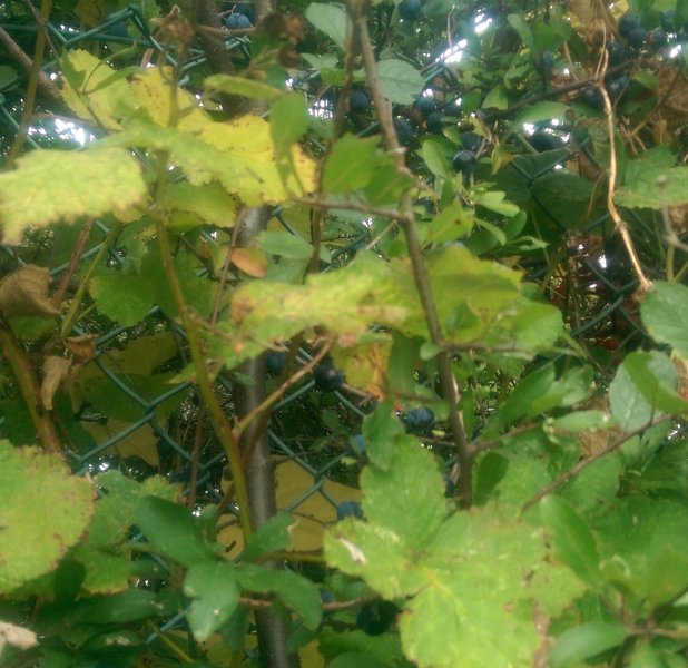 2014-09-04 14.30.36.jpg