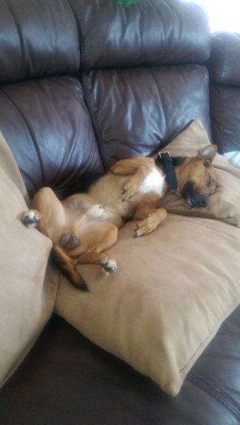 2014-09-06 11.01.01.jpg