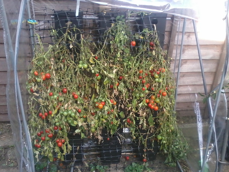 2014-09-14 15.51.22.jpg