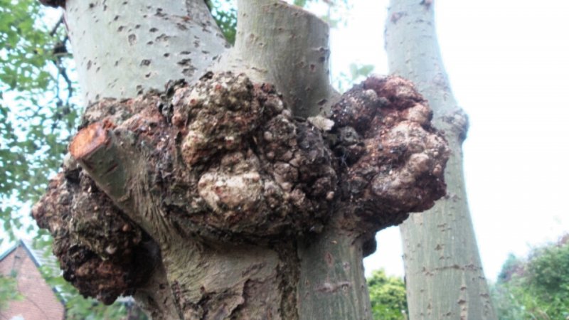 2014-09-18 20.59.28.jpg