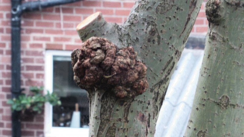 2014-09-18 21.01.09.jpg