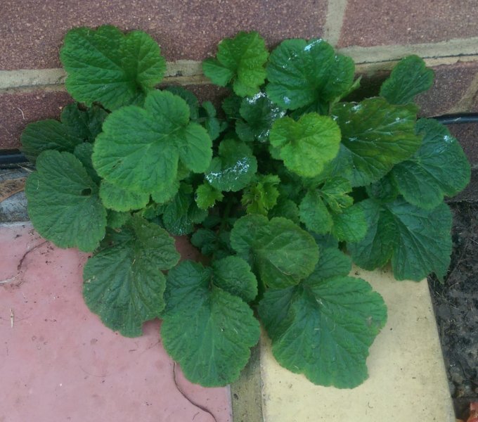 2014-10-20 17.09.42-1.jpg