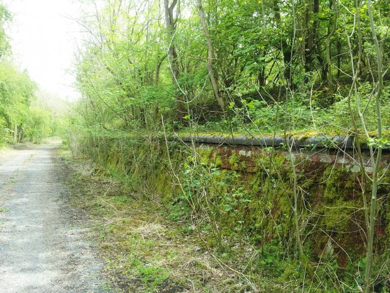 20140505_130644 (1).jpg