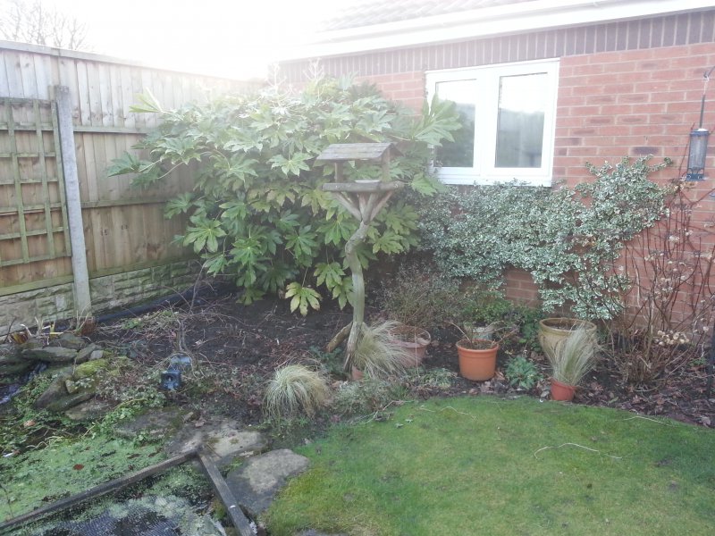 2015-02-01 14.12.22.jpg