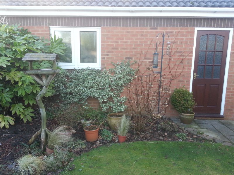 2015-02-01 14.12.30.jpg