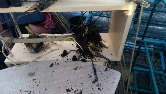 2015-02-18 12.09.17.jpg