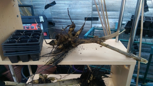 2015-02-18 12.09.23.jpg