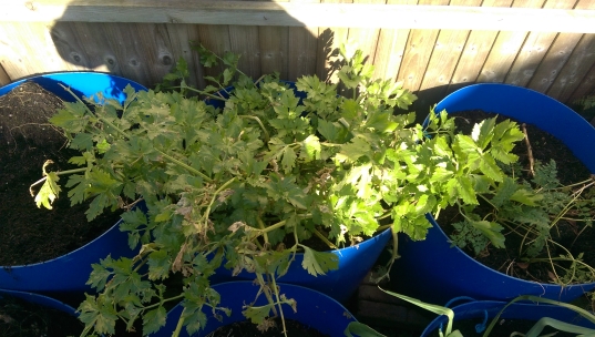 2015-02-18 12.12.48.jpg