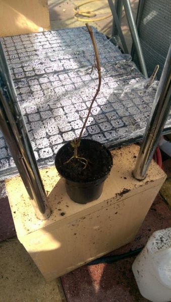 2015-04-15 16.12.45.jpg