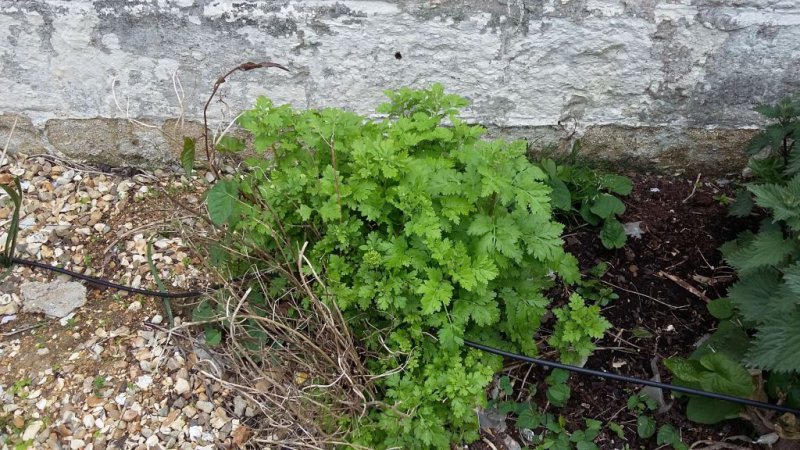 2015-05-04 17.36.43.jpg