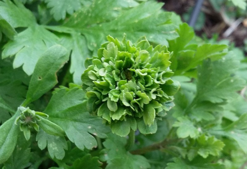 2015-05-04 17.37.02.jpg