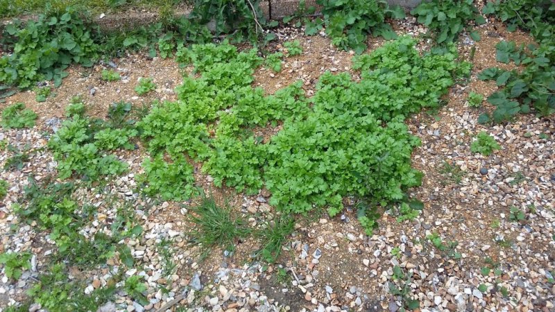 2015-05-04 17.37.25.jpg