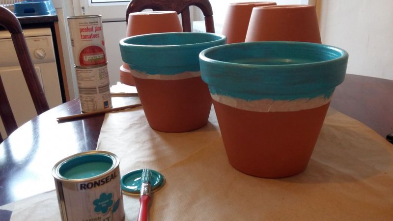 2015-05-06 19.26.23.jpg