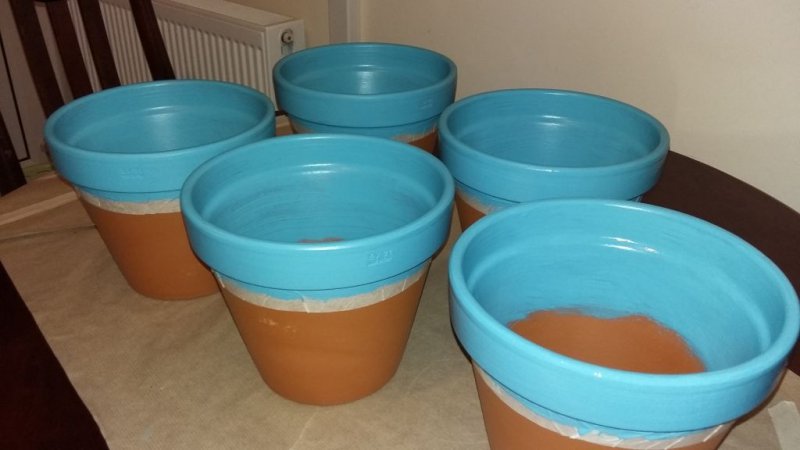 2015-05-06 23.35.35.jpg